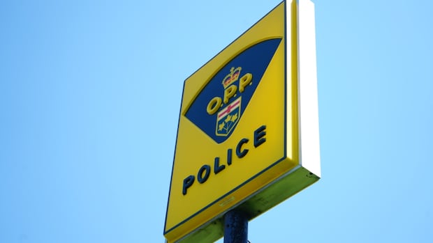 Sault Ste. Marie just the latest northern Ontario municipality to consider the OPP in order to save money
