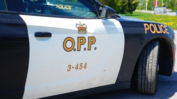 opp-ontario-provincial-police-car-logo-stock-generic-kanata-bourget-shooting.jpeg