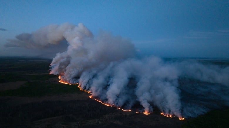 Smoke arises from a forest, creating a large smoke cloud.