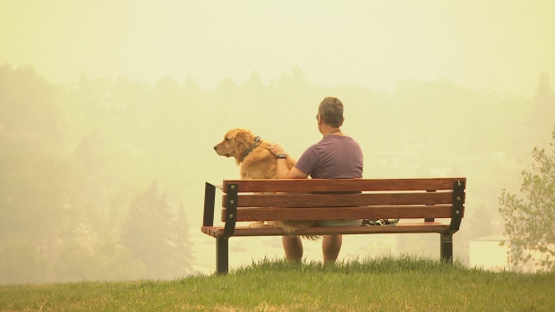 'Something's changed': Summer 2023 is screaming climate change, scientists say; A man and a dog sit on a bench in Calgary as wildfire smoke blows into the city\. 