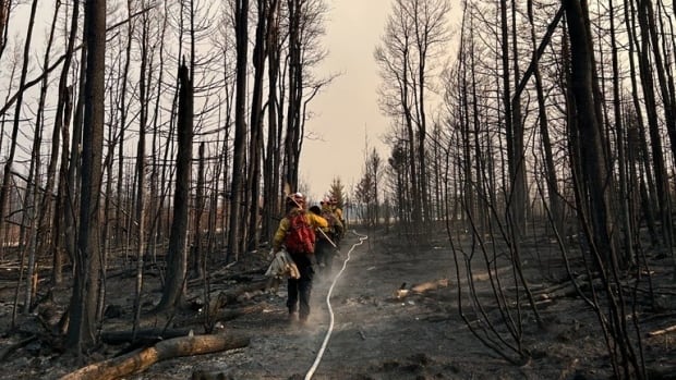 Rainy forecast not enough to reverse course on Alberta's wildfire season, cautions meteorologist