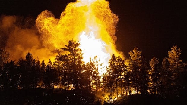 Province ramping up preparation for wildfire season