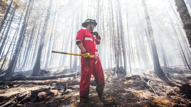 Wildfire terminology can be confusing. Here’s a cheat sheet of words you might hear | CBC News