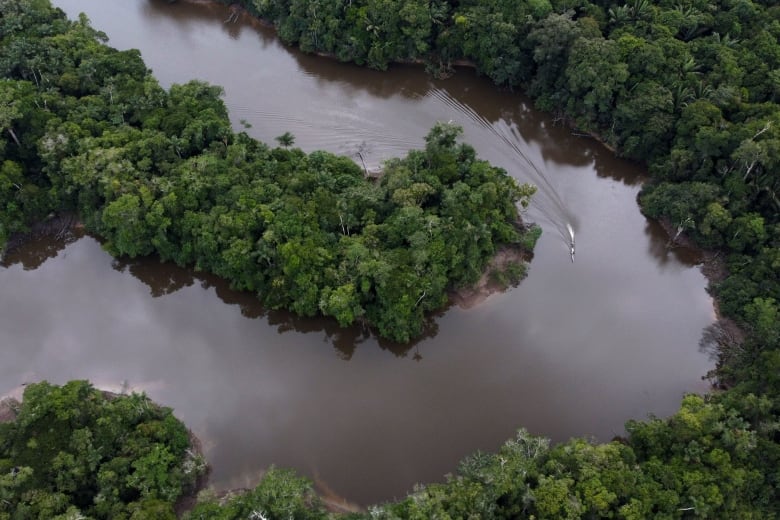 An aerial shot of a river running through a rainforest.