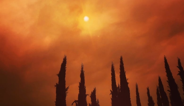 A red sky above a tree line. The sun pierces through clouds.