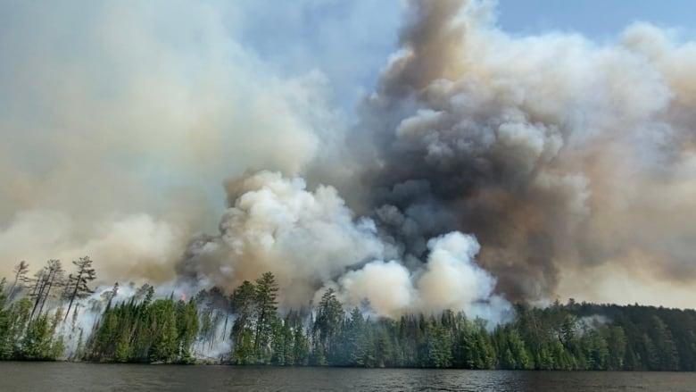 Smoke billowing in a forest alongside a lake. 