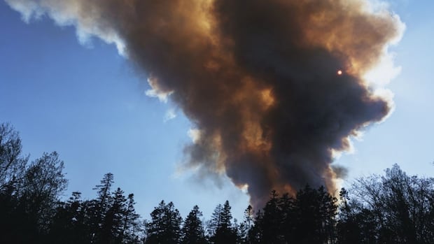 Caution urged as northern Ontario enters prime time for grass fires