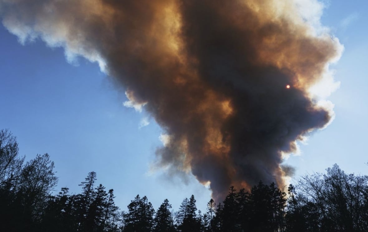 A plume of smoke from a forest fire.