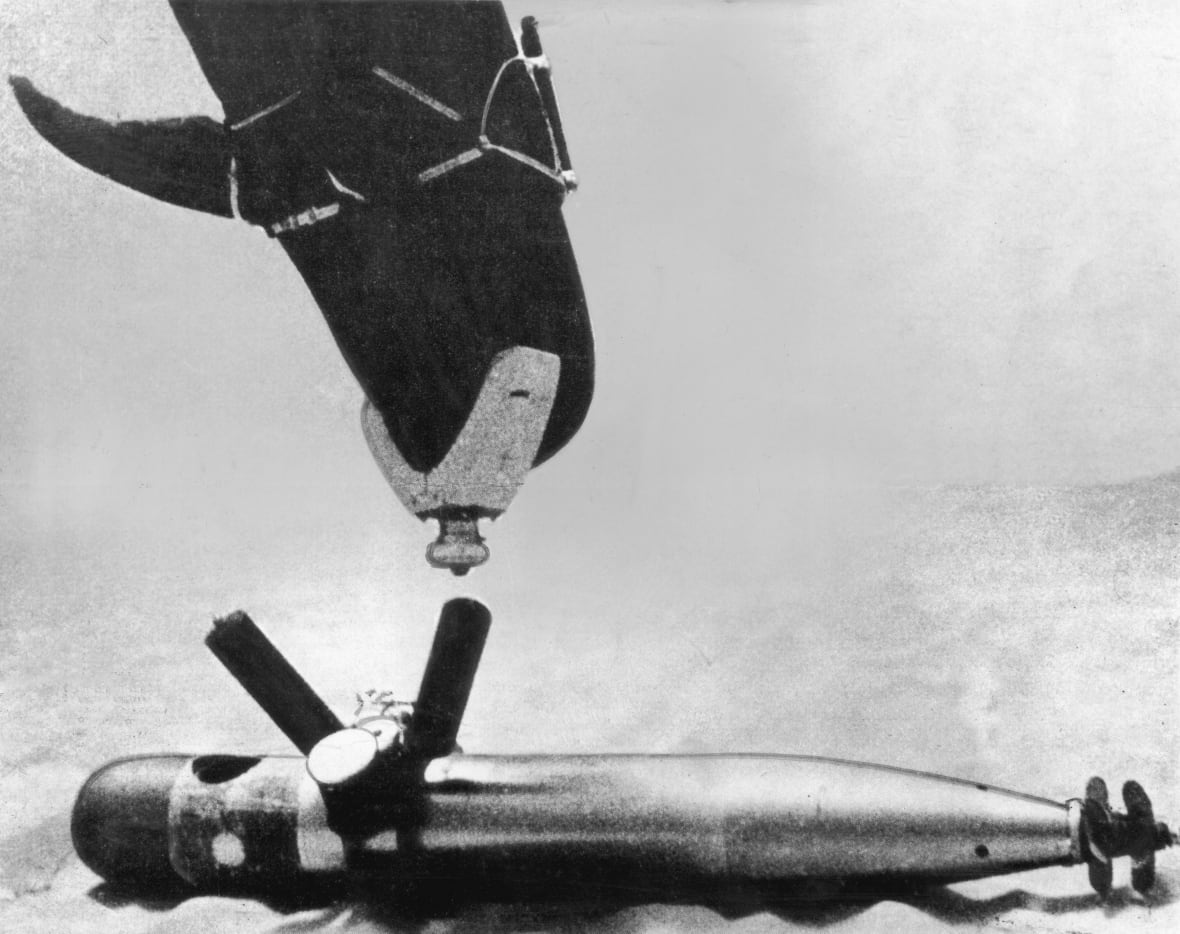 A dolphin swims towards a torpedo.
