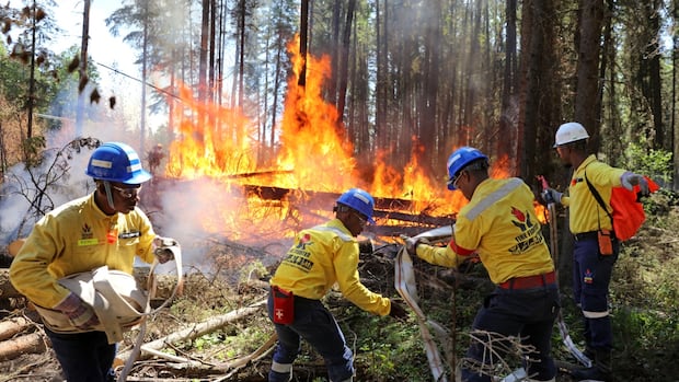 New wildfire protection teams to serve at-risk Alberta municipalities