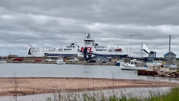 Business owners in Eastern P.E.I. say it’s devastating to have ferry service between Prince Edward Island and Nova Scotia cancelled until at least mid-July. MV Confederation car ferry sits in dock in Wood Islands, P.E.I.