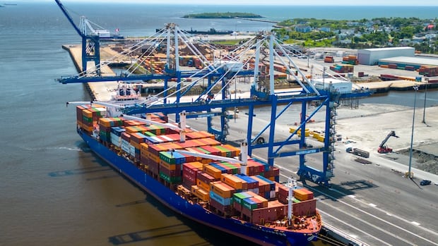 Carney's top priority should be getting economy going, N.B. analyst says