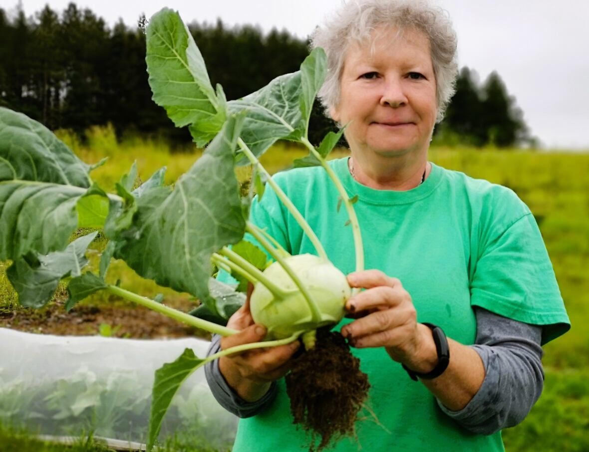 Jenny Weickert holds a green german turnip
