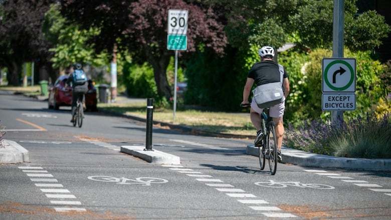 A man is pictured riding a bike on the road, in between two dotted lines that indicate an elephants foot crosswalk.