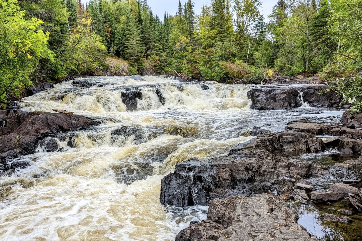 A waterfall with severakl rocky tiers. Trees surround it.