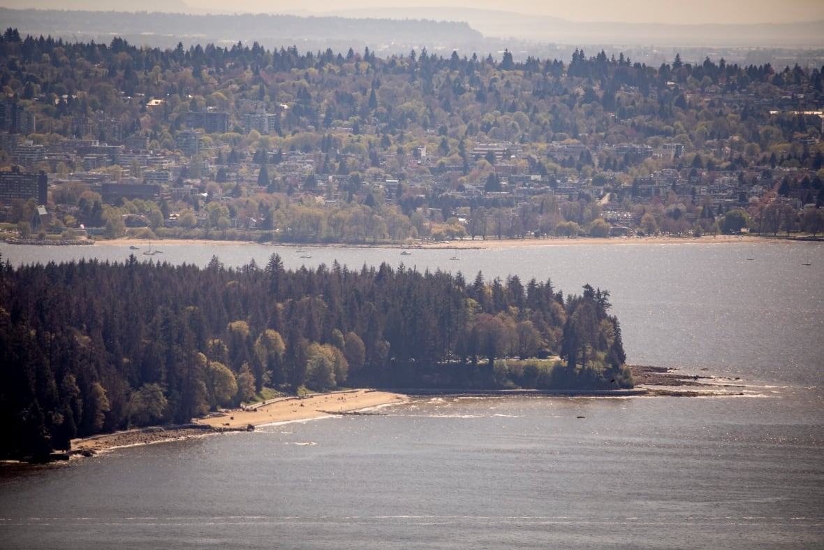 A scenic outcropping of trees is pictured in the foreground of a hilly forested area, with a sea separating the two.
