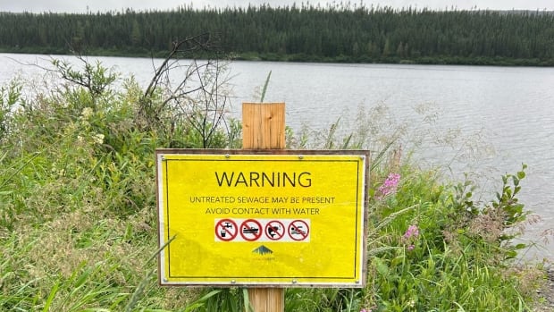 Dead fish covered in heavy sludge washing up on Labrador City beach