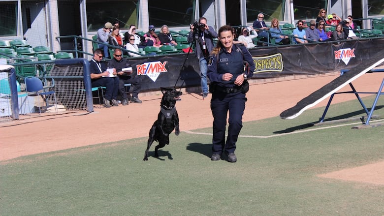 CBSA officers Danielle Getzie and her Nova run through an obstacle course in this achieve photo.
