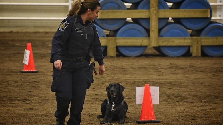 Nova the dog sits on command for her handler Danielle Getzie in this achieve photo.