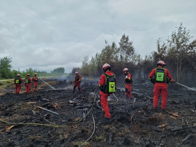 Korean firefighters stand over charred land near Lebel-sur-Quévillon, in the northern Quebec, extinguishing the smoldering ground.