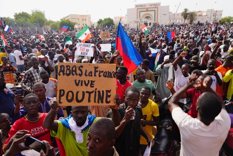 A crowd of protesters hold signs and flags.