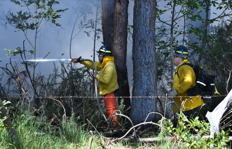 Firefighters battle a wildfire in Kula, Hawaii.