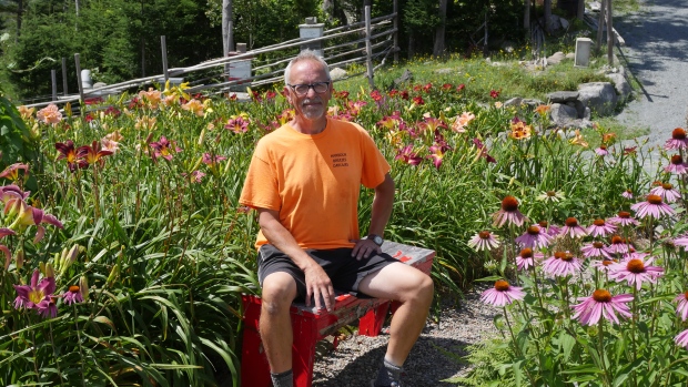 How one corner of Nova Scotia's Eastern Shore became an unlikely LGBTQ haven; Allan Banks is the owner of Harbour Breeze Daylilies in Head of Jeddore, located on Nova Scotia's Eastern Shore\. He says that since moving to the area 20 years ago, it has become more welcoming to LGBTQ people\. 