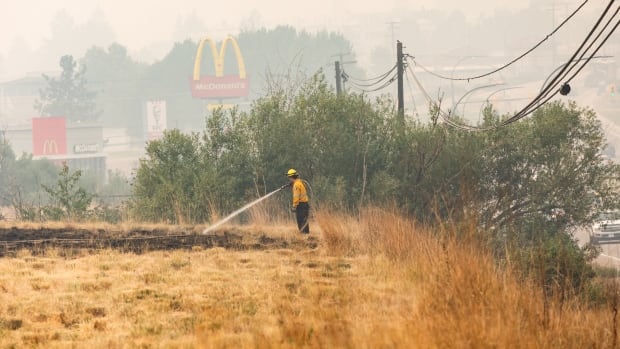 Smoke blanketing southern B.C. triggers warnings, but also helps fight against huge wildfires