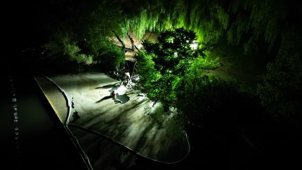 Cleanup of sludge from Etobicoke fire expected to take until end of October, minister says