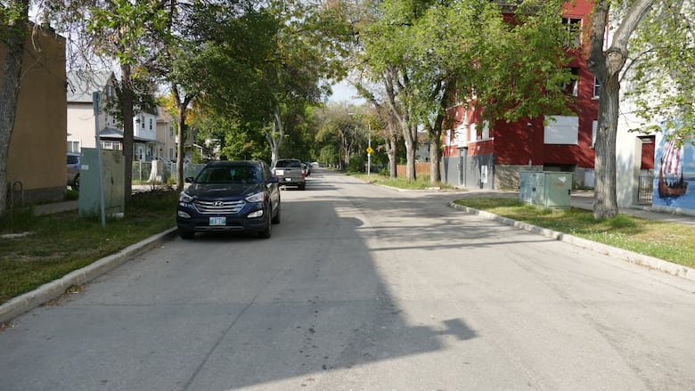 A road lined with houses