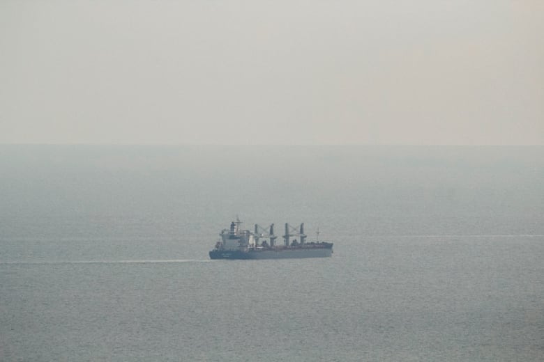 A cargo ship is seen travelling on a placid sea amid fog.