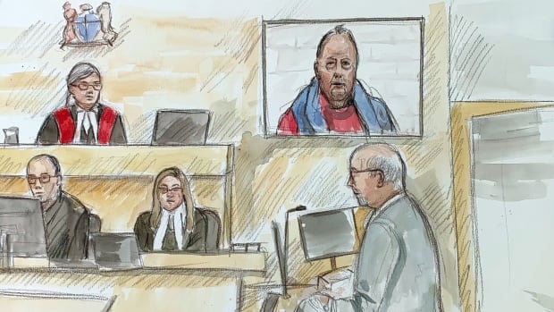 An artist's courtroom sketch shows a courtroom with a judge, two clerks and a lawyer, and an accused man appearing on a video screen wearing red and blue.