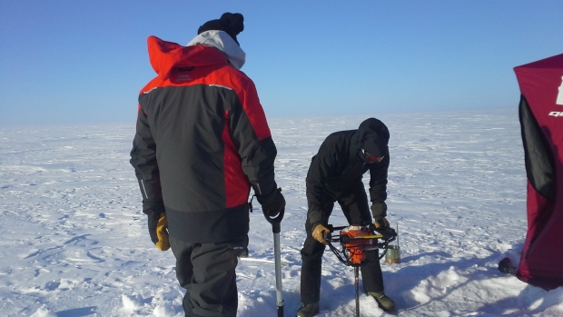 Algae have changed dramatically in Great Slave Lake — and what that means for fish is uncertain; A researcher uses an ice auger to drill a hole in the ice on Great Slave Lake in March 2014\. The hole was used to extract a sediment core from the depths of the lake\. The core was used in a recently published study that found the dominant type of algae in Great Slave Lake has gone through a dramatic change\.