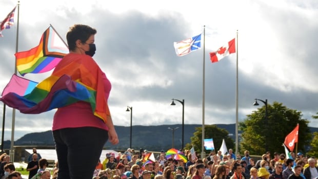 Protests erupted over LGBTQ content in N.L. schools. So what's actually happening in the classroom?