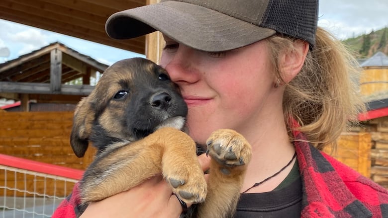 A member of Wild Adventure Yukon holds a puppy on display as part of a new Humane Society Yukon initiative to get more tourists to adopt dogs.