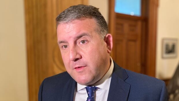 PC MLA Daniel Allain says single-issue elections rarely succeed. A man with short dark hair in a blue suit speaks to reporters.