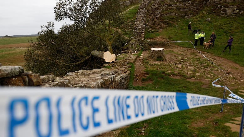 Police tap blocks off people from approaching a fallen tree.