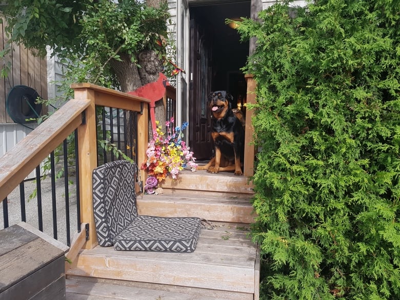 Nina Dunic explores the power of human connection in her debut novel