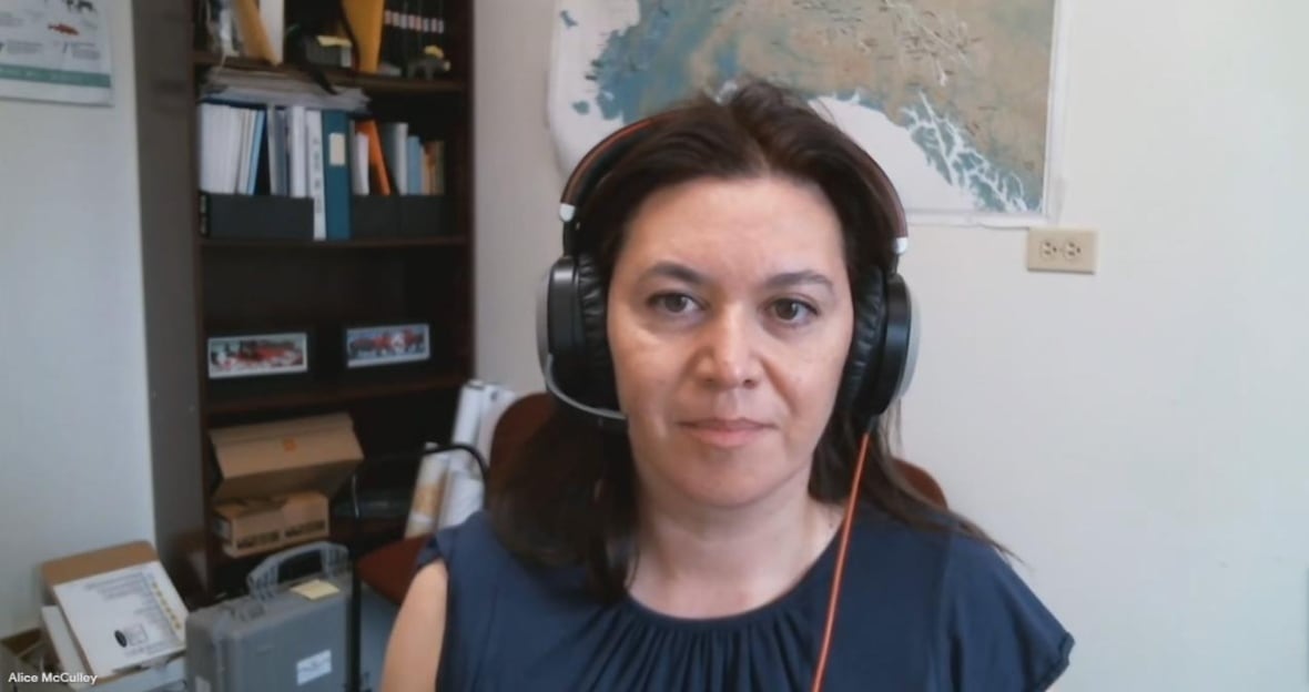 Alice McCulley, director of natural resources with Tr’ondëk Hwëch’in First Nation, speaking to CBC Yukon in a video chat.