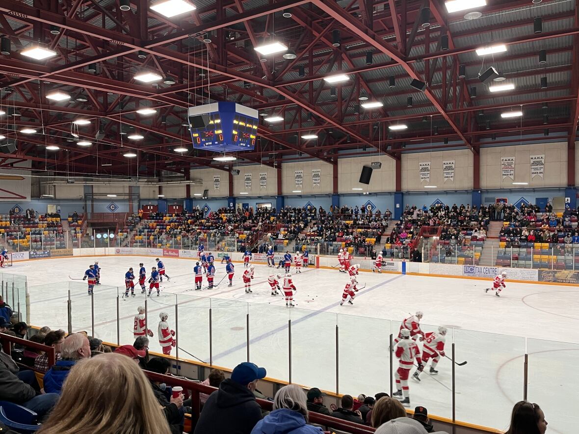 Here's why Newfoundland senior hockey feels chaotic, 1 month before