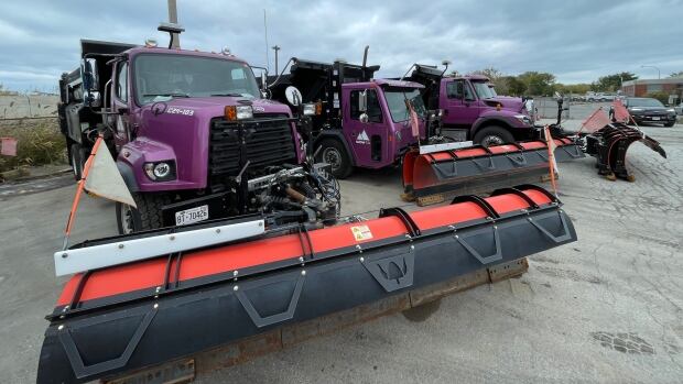 Toronto ready to tackle winter, has 'learned' from last year's snow-clearing efforts: officials