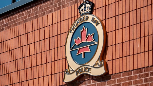 Assault charges against Thunder Bay Police officer withdrawn