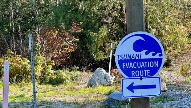 A blue and white sign is secured to a pole. The sign shows a large wave and reads"tsunami evacuation route," with an arrow pointing to the left.