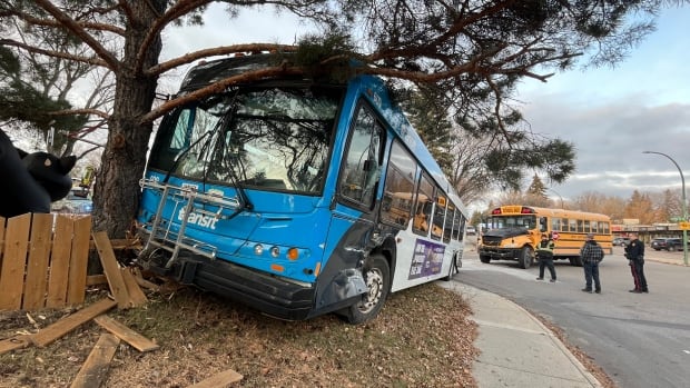 Saskatoon Transit bus collides with school bus, crashes into tree outside daycare