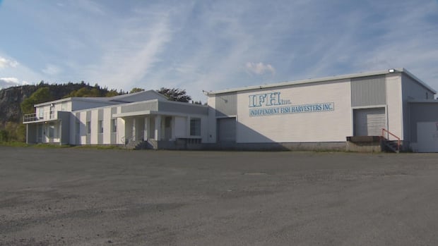 Conception Harbour accountant facing charges of theft, fraud, say police