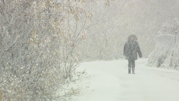 Snow on way to N.B., but it's not likely to stick around