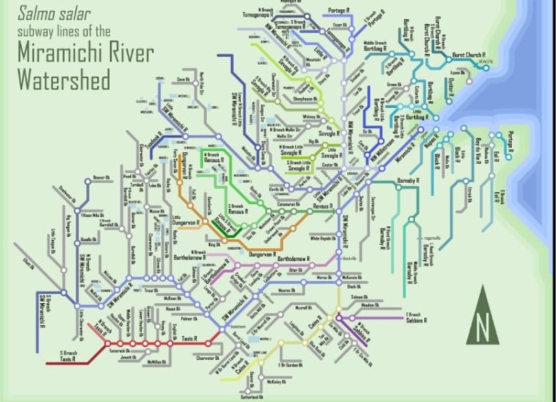 Next stop Bartibog Map depicts rivers of New Brunswick as giant subway