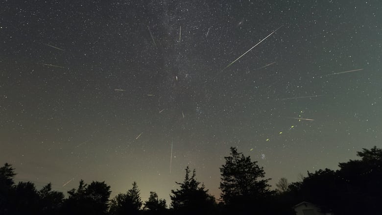 Streaks of light are seen against a starry sky.