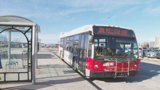 Saint John currently has 54 buses with 36 that will need replacing before 2030. Codiac Transpo, which operates in Moncton has 42 buses and expects roughly 12 of them may be replaced by 2030. Fredericton anticipates 12 of its 28 buses will need replacing by that year. Bus parked at bus stop on a clear sunny day.
