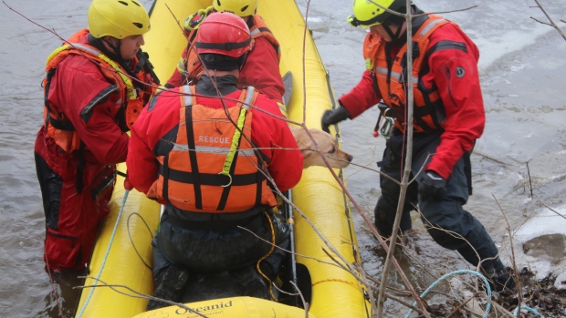 Dramatic dog rescue a reminder of ice safety amid rapidly changing weather; Skye arrived safely to shore in a boat where her dog friend Abby and owner Nixon waited patiently\.